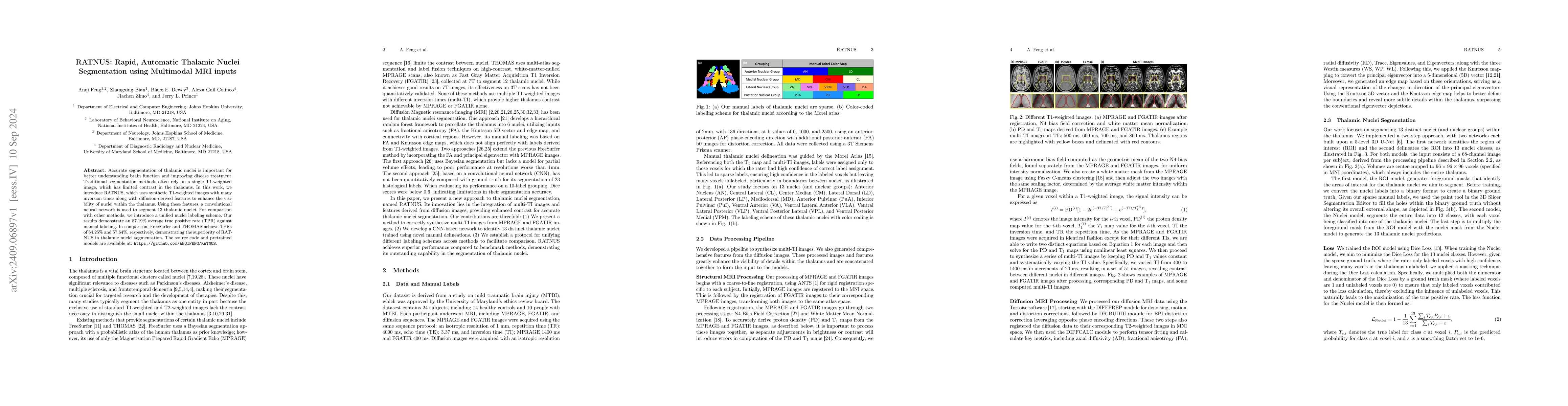 Thumbnail for RATNUS: Rapid, Automatic Thalamic Nuclei Segmentation using Multimodal
  MRI inputs