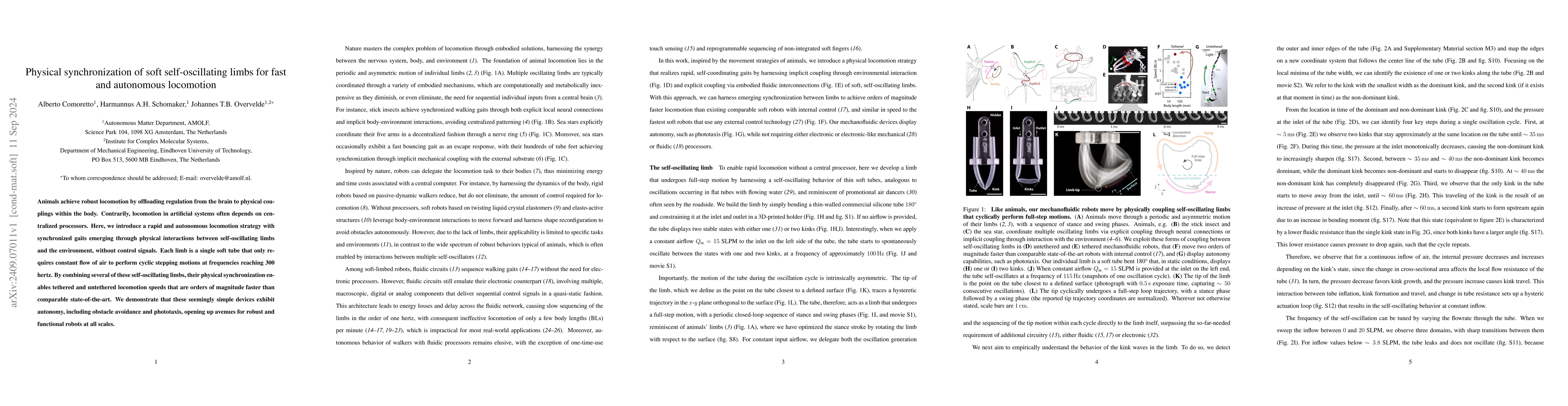 Thumbnail for Physical synchronization of soft self-oscillating limbs for fast and
  autonomous locomotion