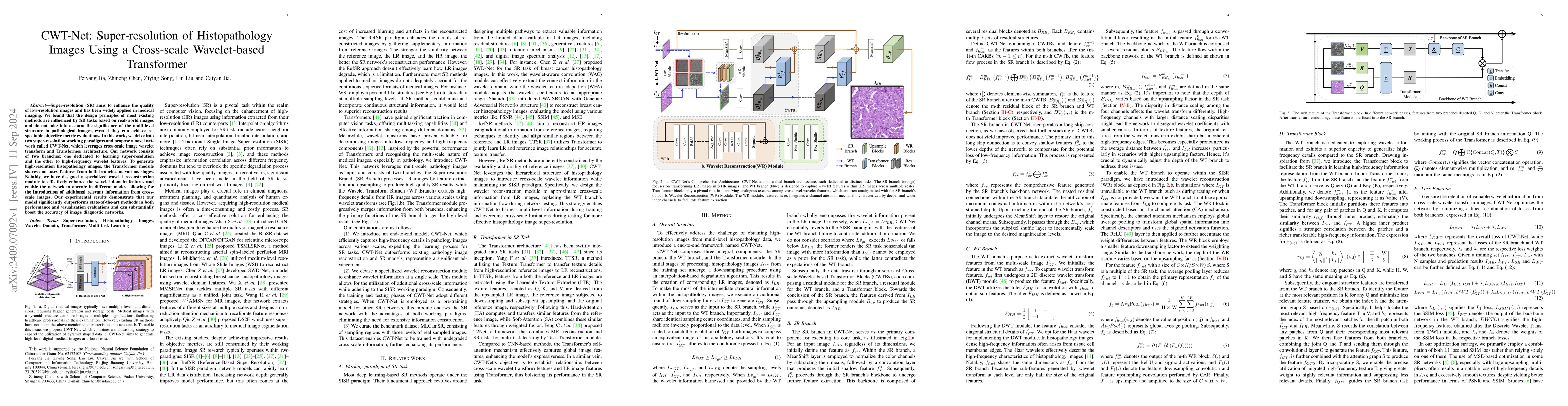 Thumbnail for CWT-Net: Super-resolution of Histopathology Images Using a Cross-scale
  Wavelet-based Transformer