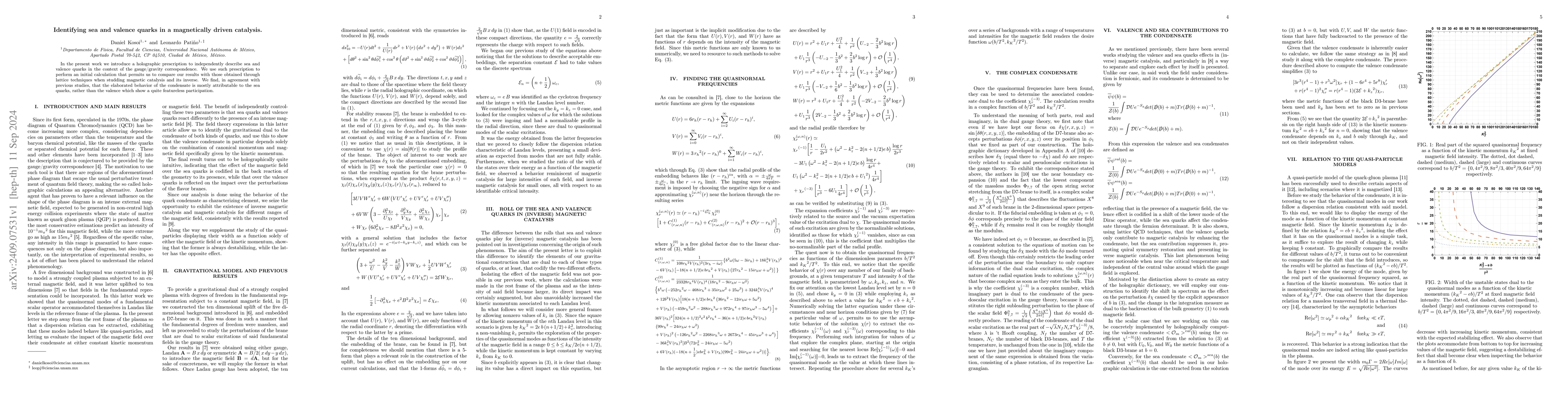Thumbnail for Identifying sea and valence quarks in a magnetically driven catalysis