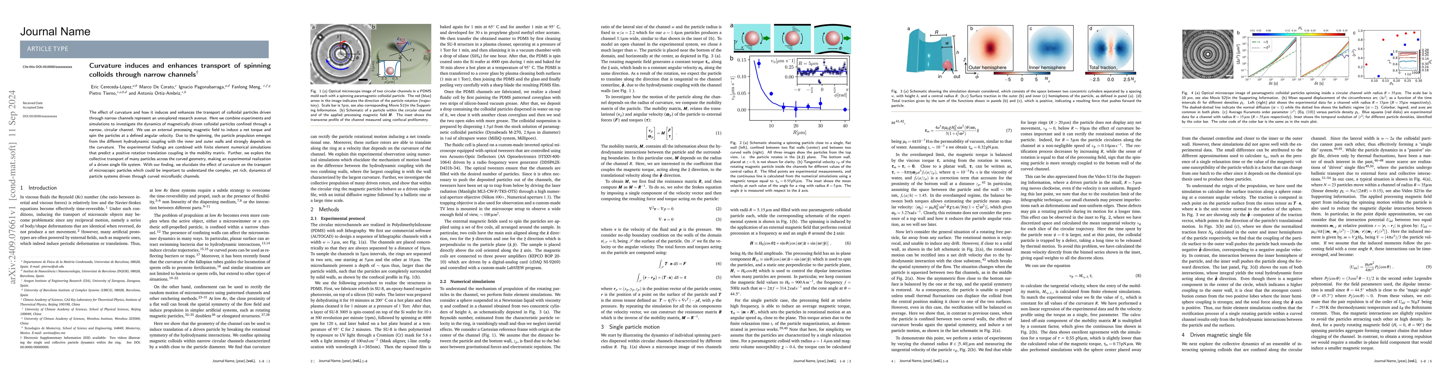 Thumbnail for Curvature induces and enhances transport of spinning colloids through
  narrow channels