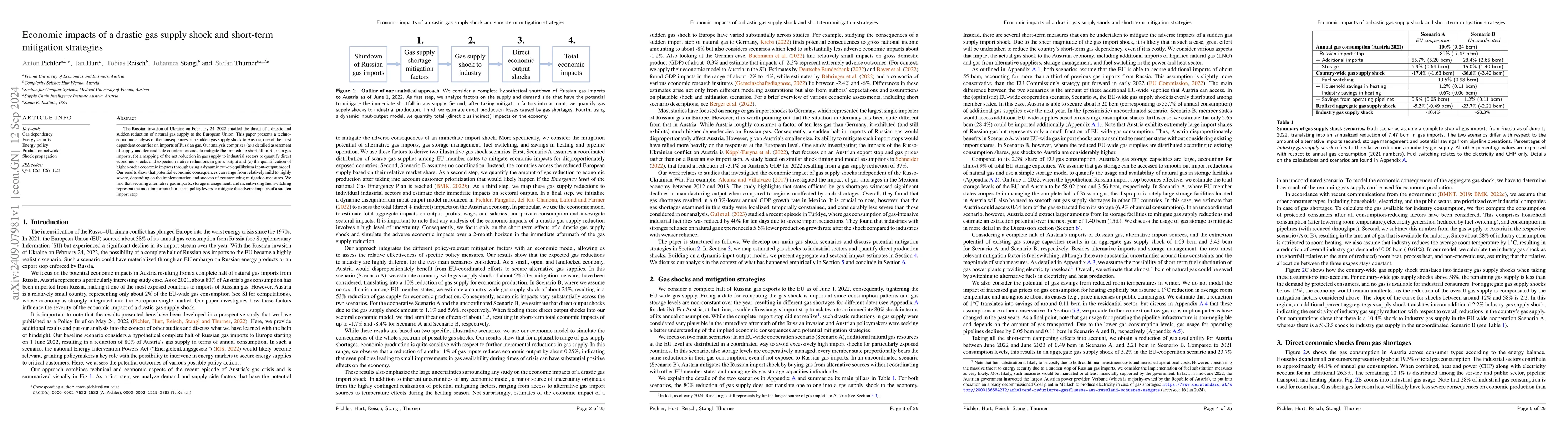 Thumbnail for Economic impacts of a drastic gas supply shock and short-term mitigation
  strategies