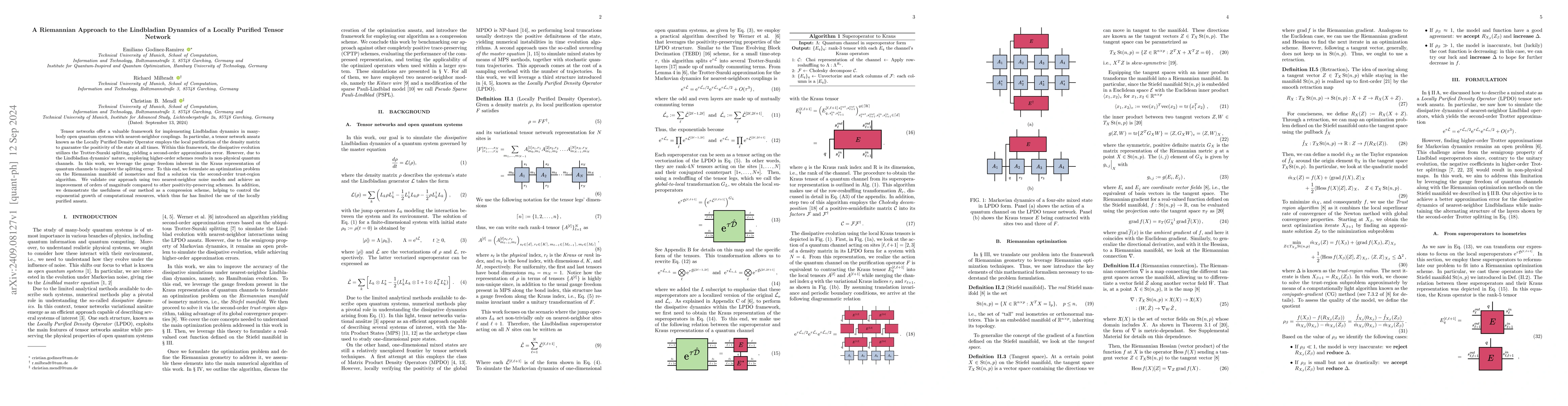 Thumbnail for A Riemannian Approach to the Lindbladian Dynamics of a Locally Purified
  Tensor Network