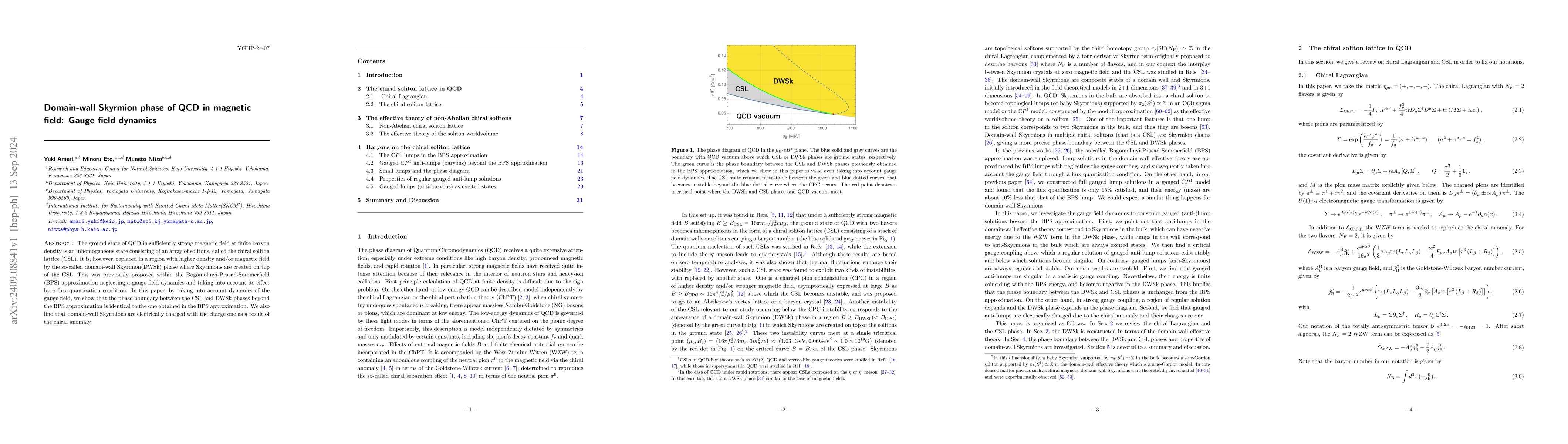 Thumbnail for Domain-wall Skyrmion phase of QCD in magnetic field: Gauge field
  dynamics