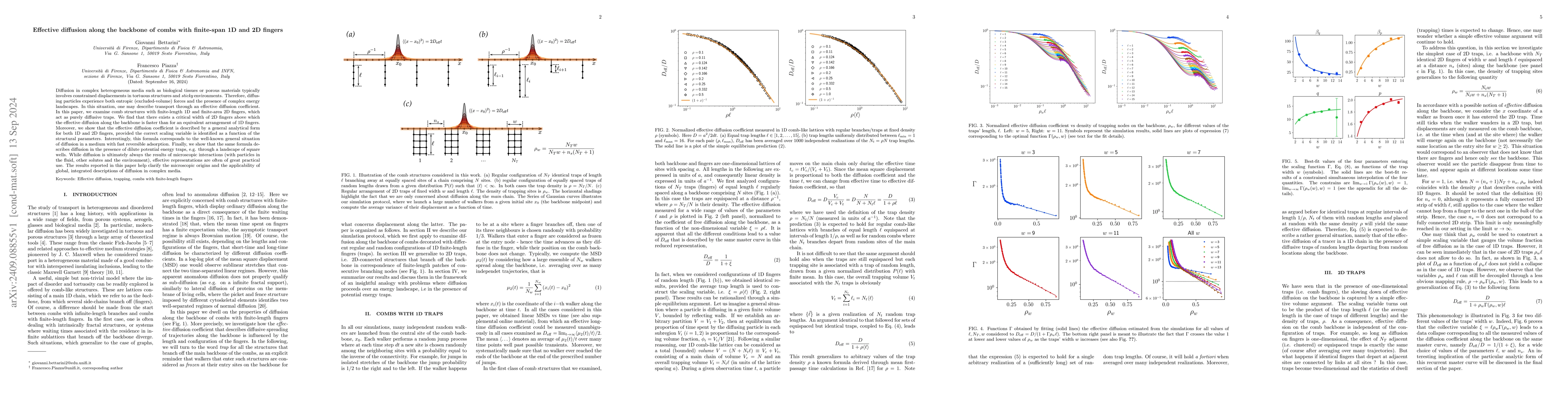 Thumbnail for Effective diffusion along the backbone of combs with finite-span 1D and
  2D fingers