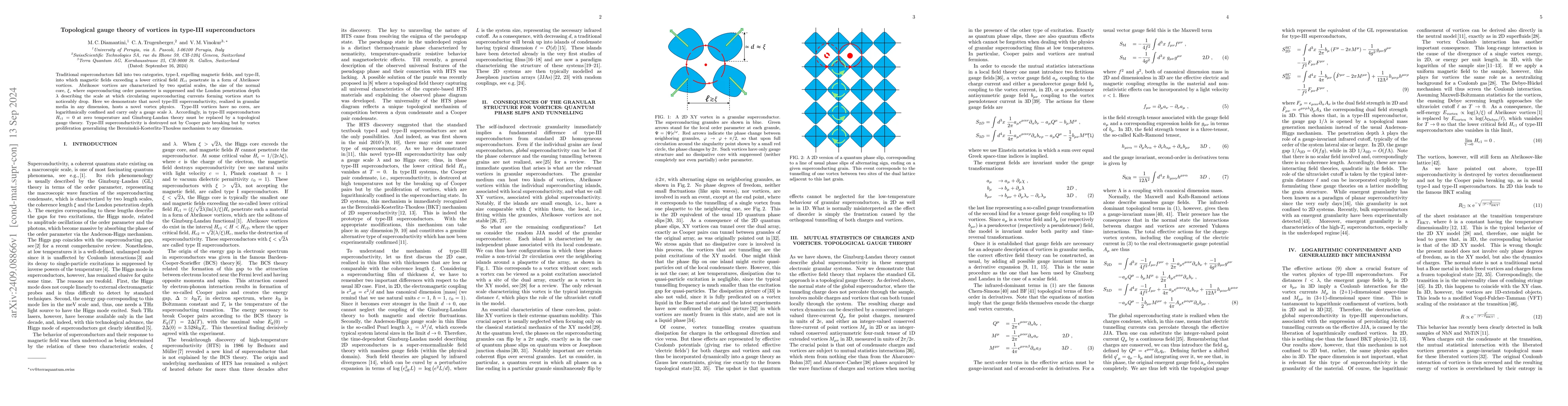 Thumbnail for Topological gauge theory of vortices in type-III superconductors