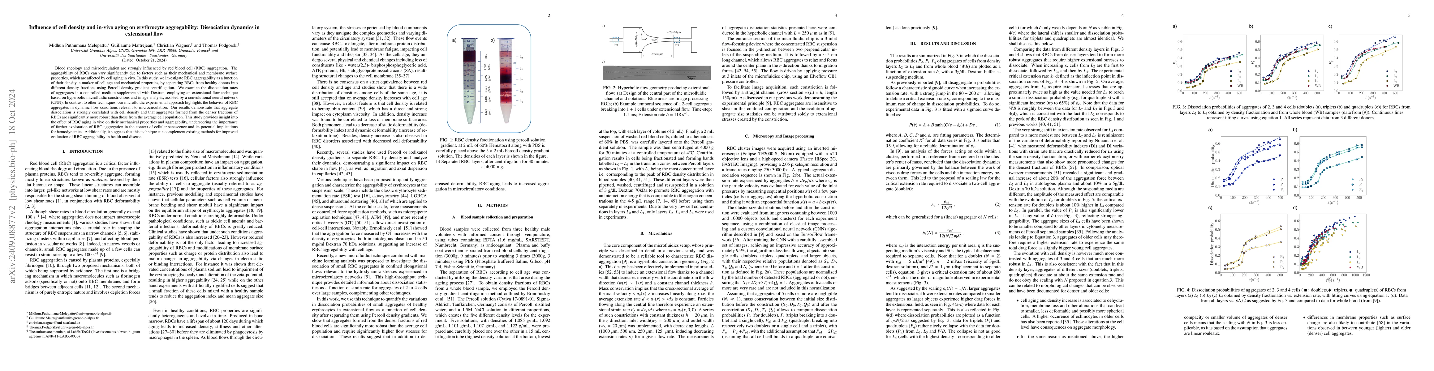 Thumbnail for Influence of cell density and in-vivo aging on erythrocyte
  aggregability: Dissociation dynamics in extensional flow