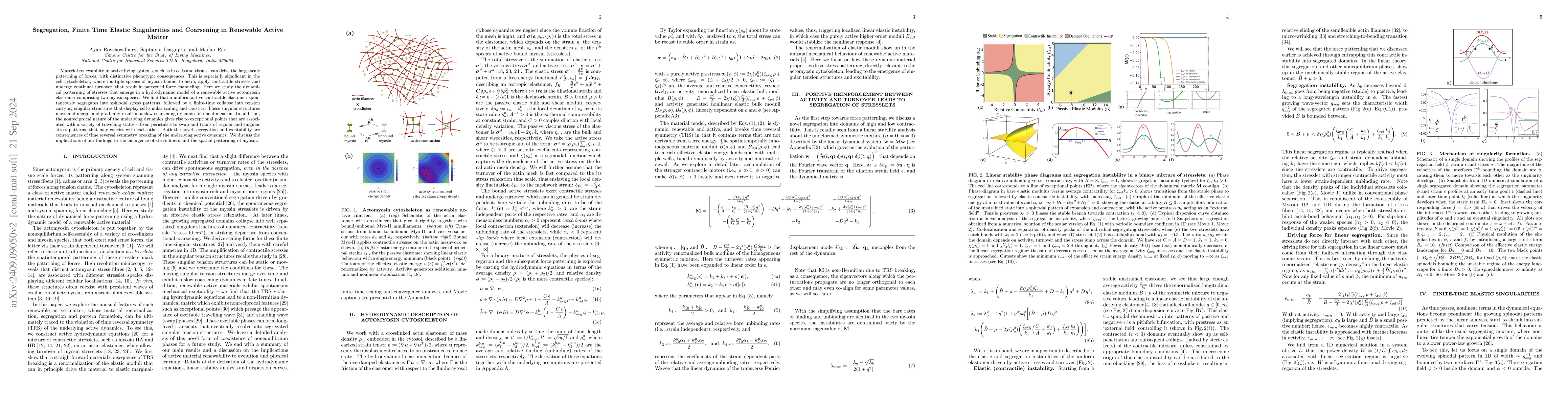 Thumbnail for Segregation, Finite Time Elastic Singularities and Coarsening in
  Renewable Active Matter