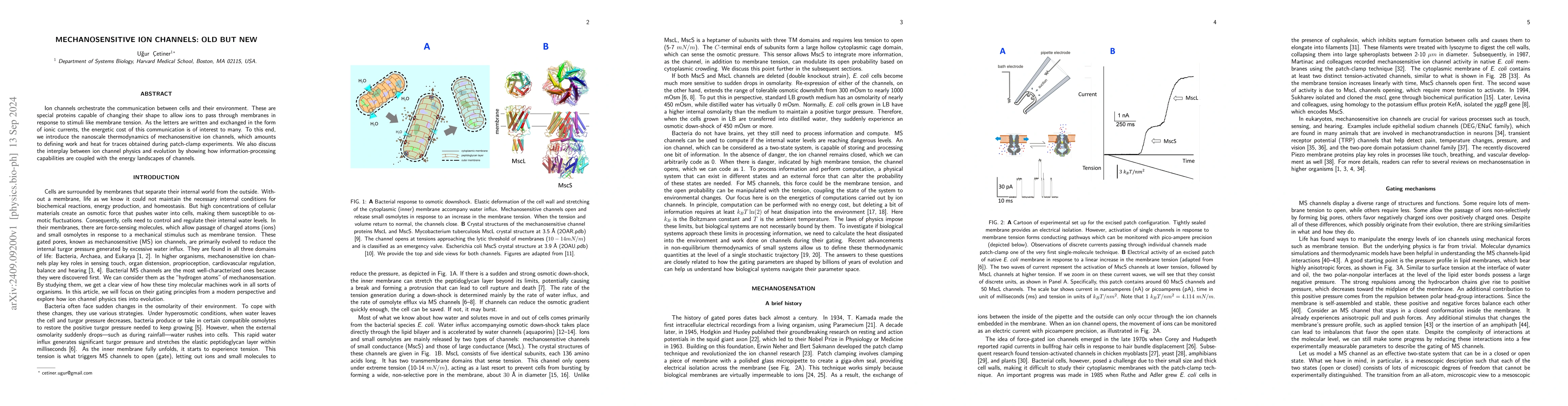 Thumbnail for Mechanosensitive ion channels: Old but new