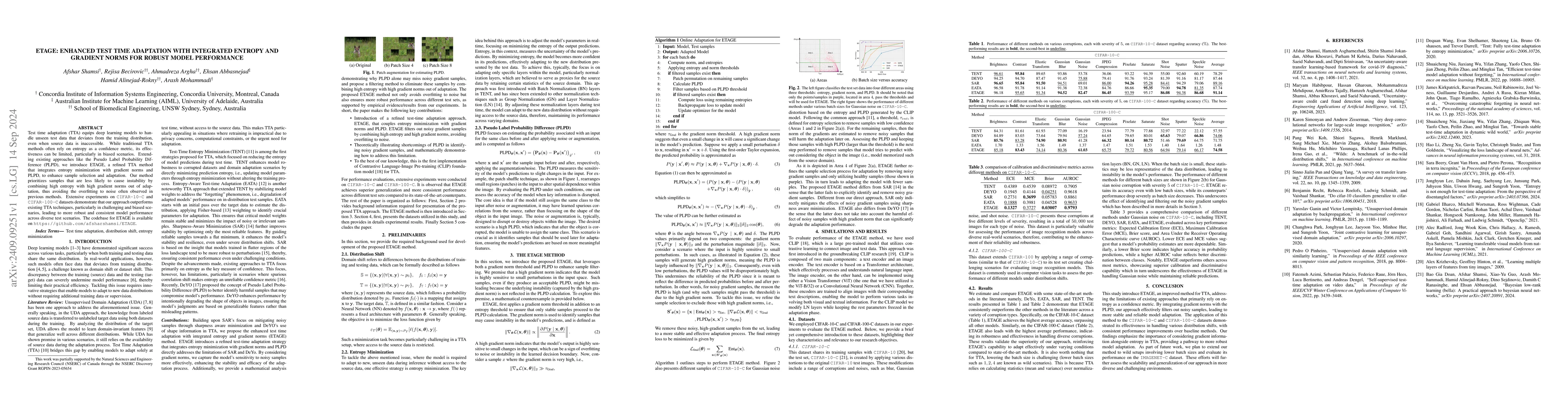 Thumbnail for ETAGE: Enhanced Test Time Adaptation with Integrated Entropy and
  Gradient Norms for Robust Model Performance