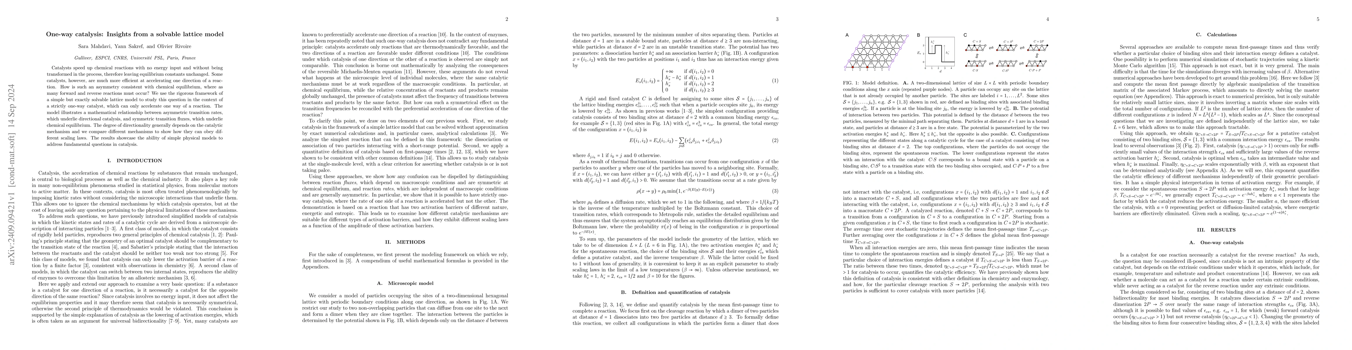 Thumbnail for One-way catalysis: Insights from a solvable lattice model