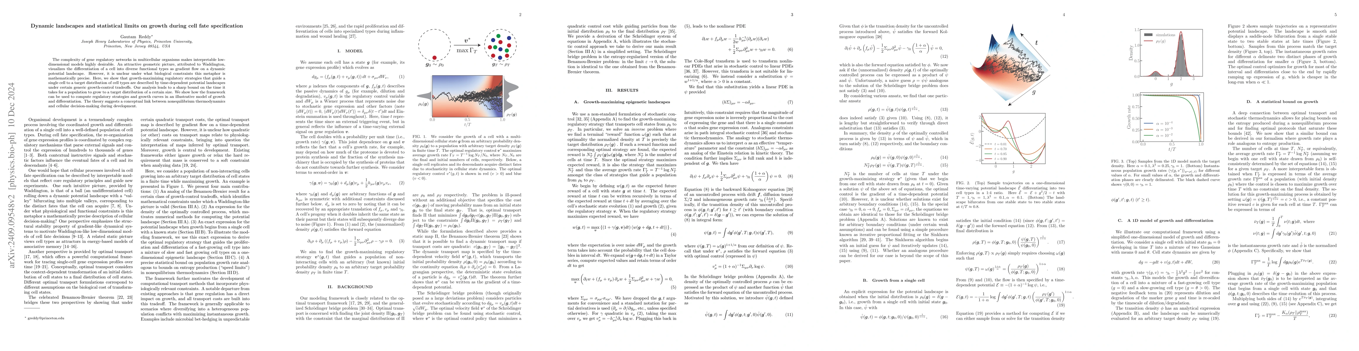 Thumbnail for Dynamic landscapes and statistical limits on growth during cell fate
  specification
