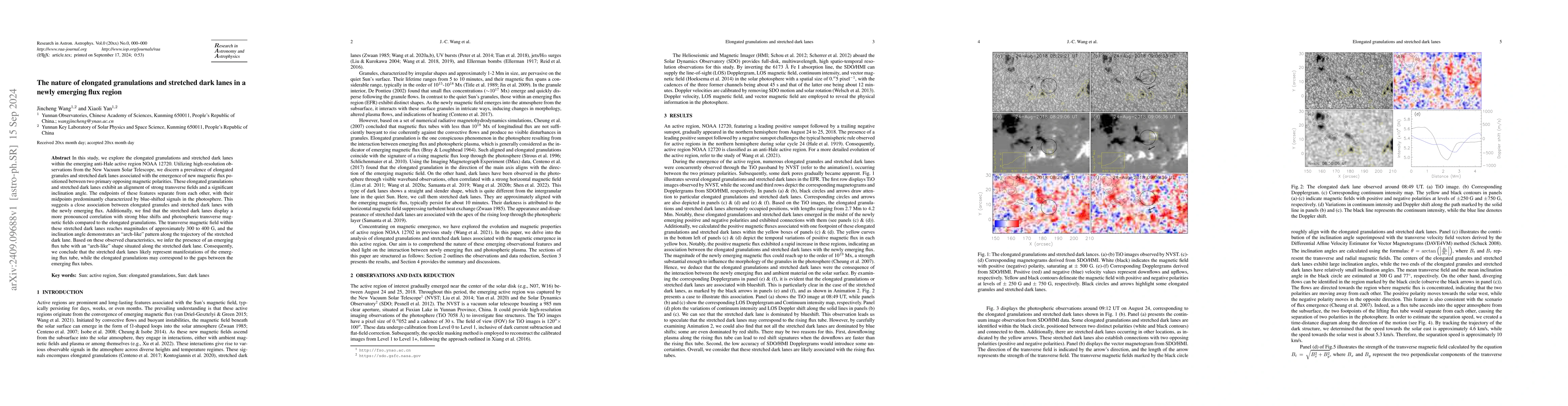 Thumbnail for The nature of elongated granulations and stretched dark lanes in a newly
  emerging flux region
