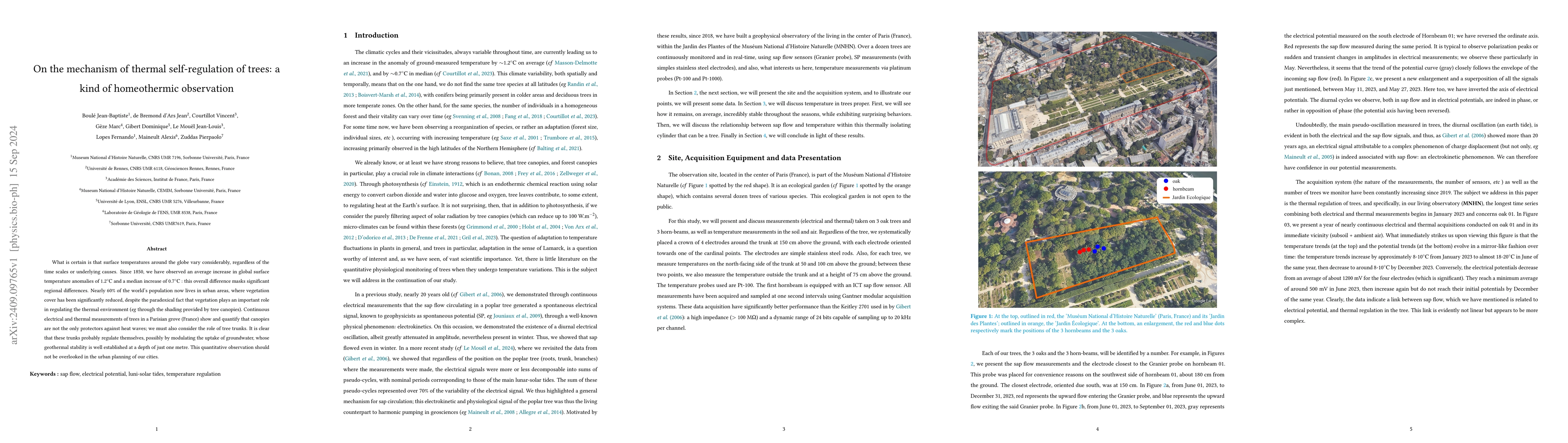 Thumbnail for On the mechanism of thermal self-regulation of trees: a kind of
  homeothermic observation