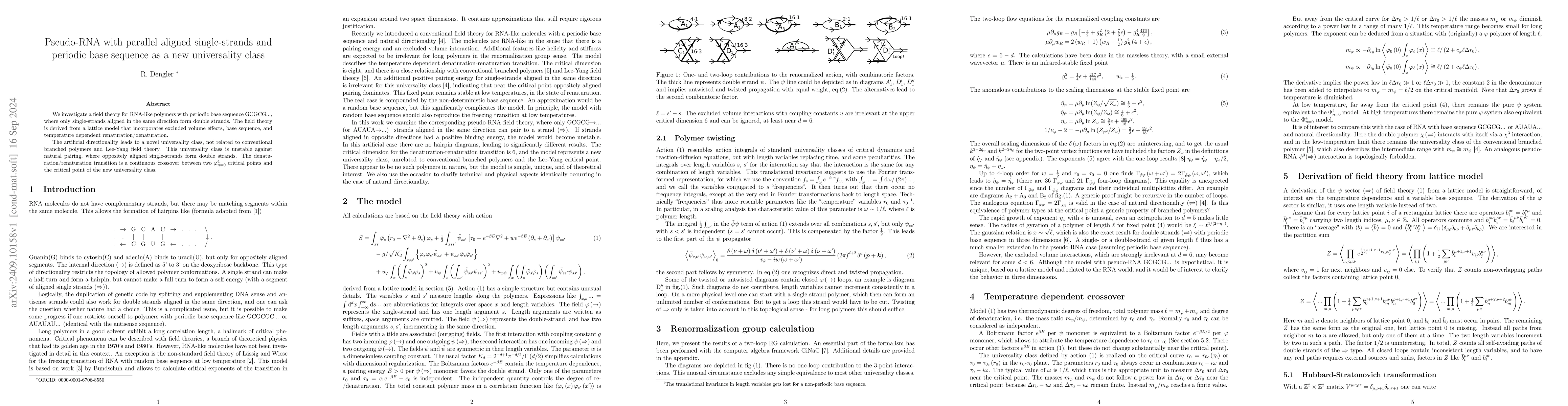 Thumbnail for Pseudo-RNA with parallel aligned single-strands and periodic base
  sequence as a new universality class