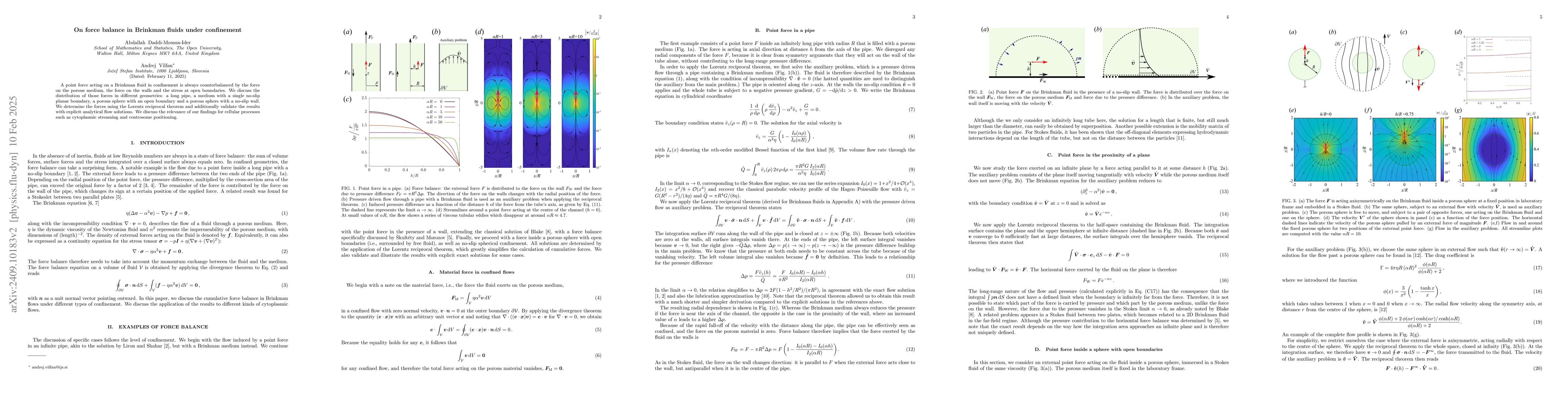 Thumbnail for On force balance in Brinkman fluids under confinement