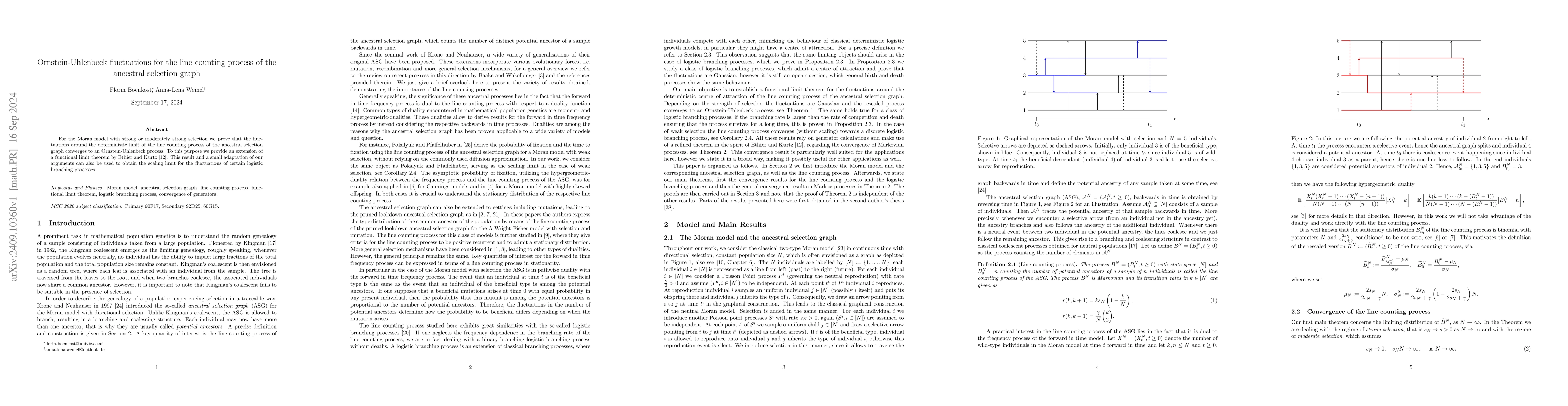 Thumbnail for Ornstein-Uhlenbeck fluctuations for the line counting process of the
  ancestral selection graph