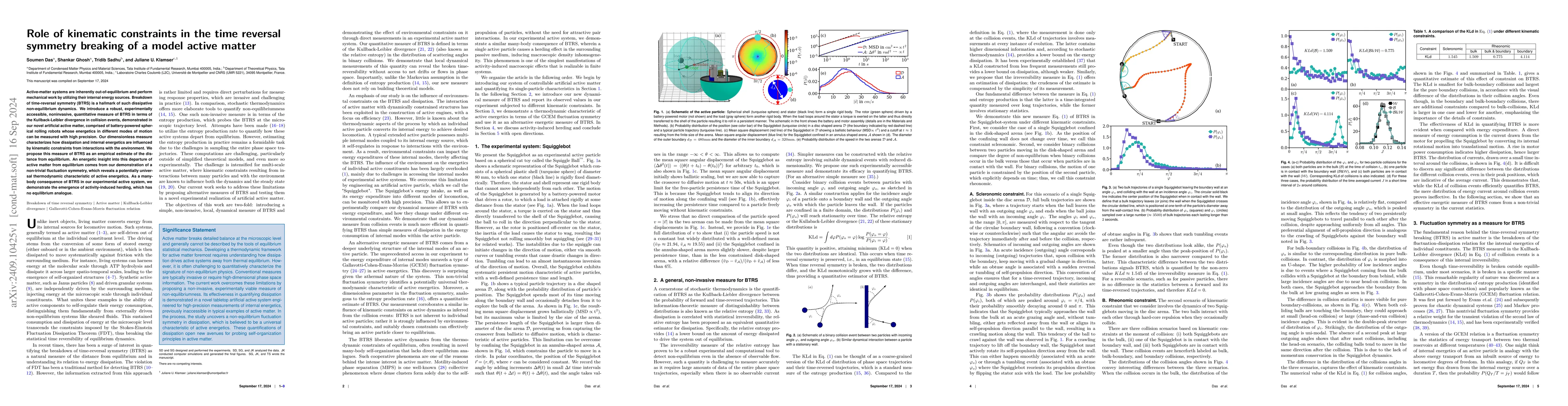 Thumbnail for Role of kinematic constraints in the time reversal symmetry breaking of
  a model active matter