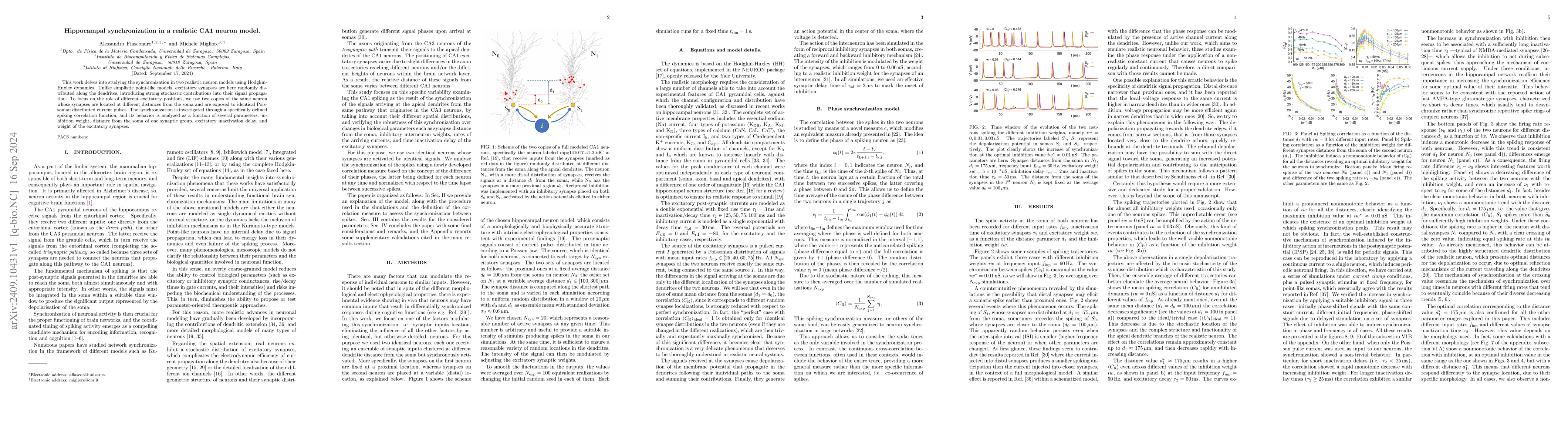 Thumbnail for Hippocampal synchronization in a realistic CA1 neuron model
