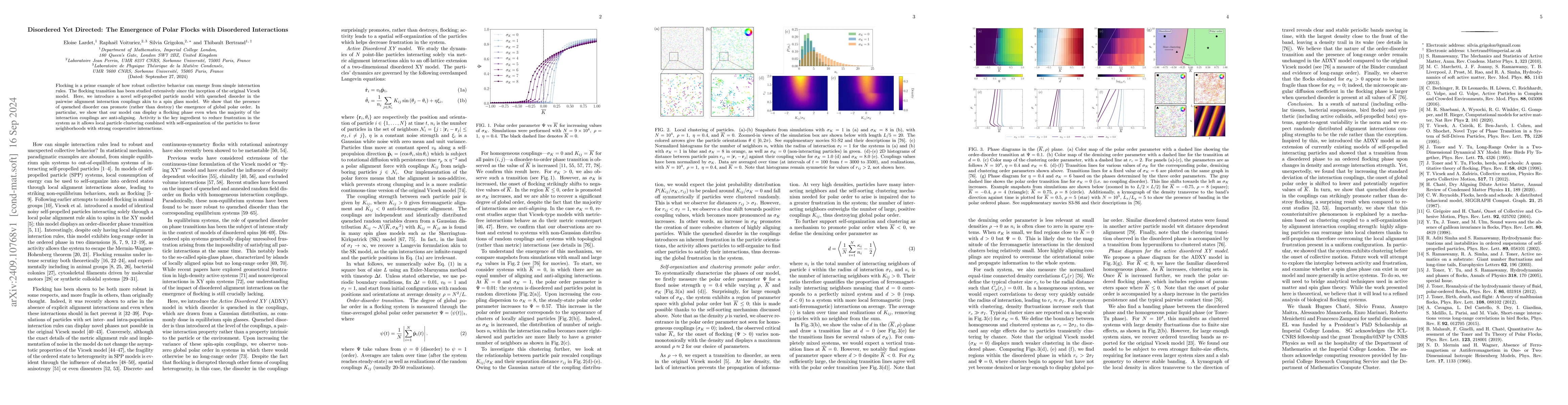Thumbnail for Disordered Yet Directed: The Emergence of Polar Flocks with Disordered
  Interactions