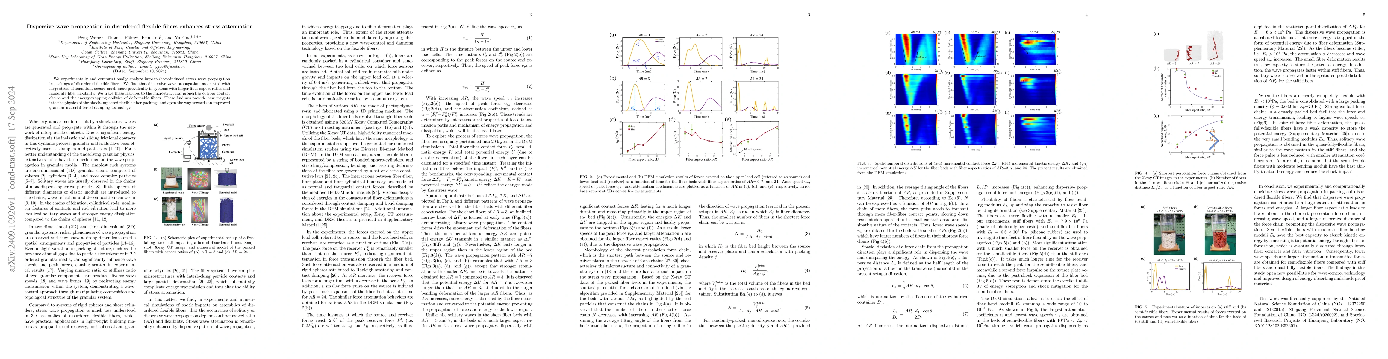 Thumbnail for Dispersive wave propagation in disordered flexible fibers enhances
  stress attenuation