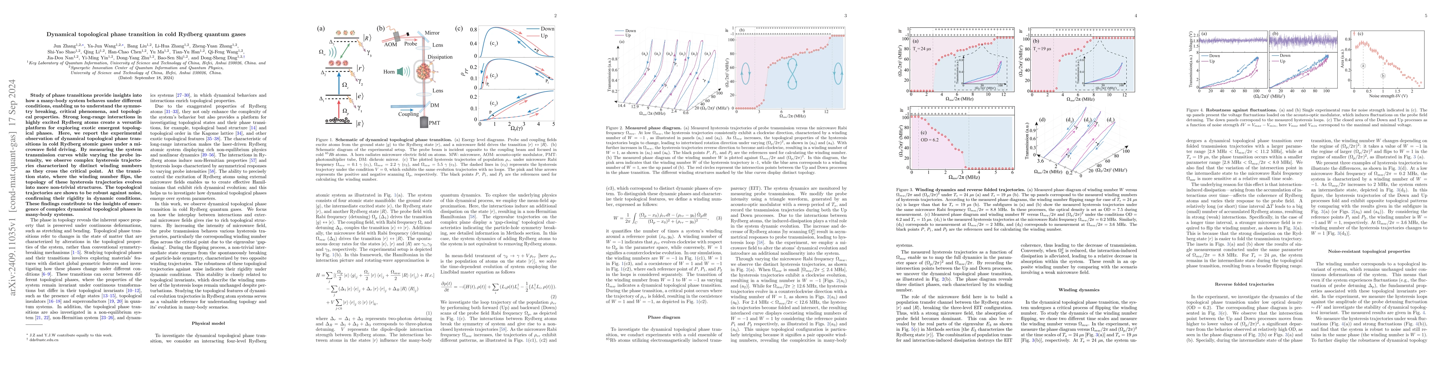 Thumbnail for Dynamical topological phase transition in cold Rydberg quantum gases