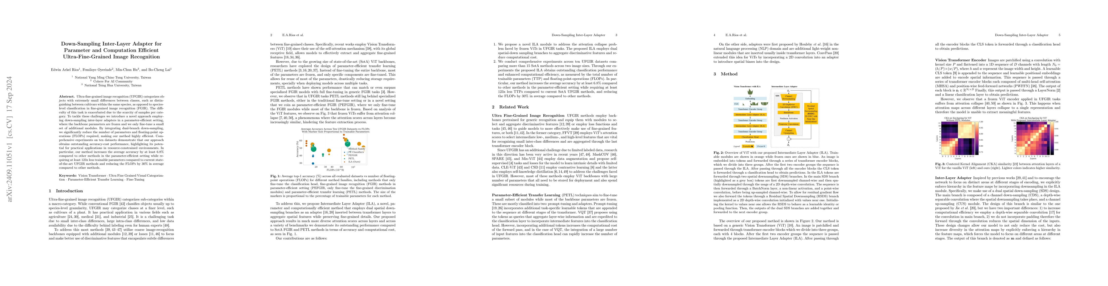 Thumbnail for Down-Sampling Inter-Layer Adapter for Parameter and Computation
  Efficient Ultra-Fine-Grained Image Recognition