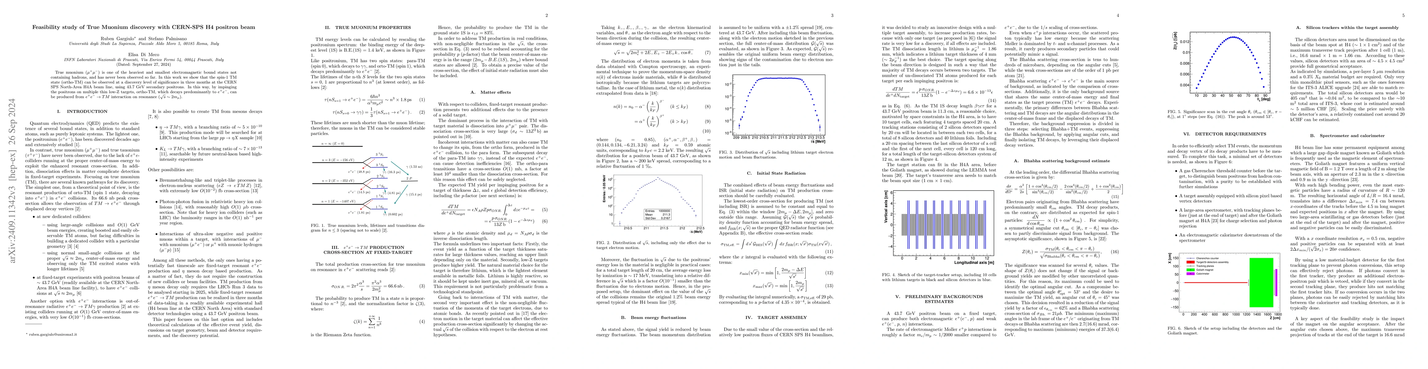 Thumbnail for Feasibility study of True Muonium discovery with CERN-SPS H4 positron
  beam