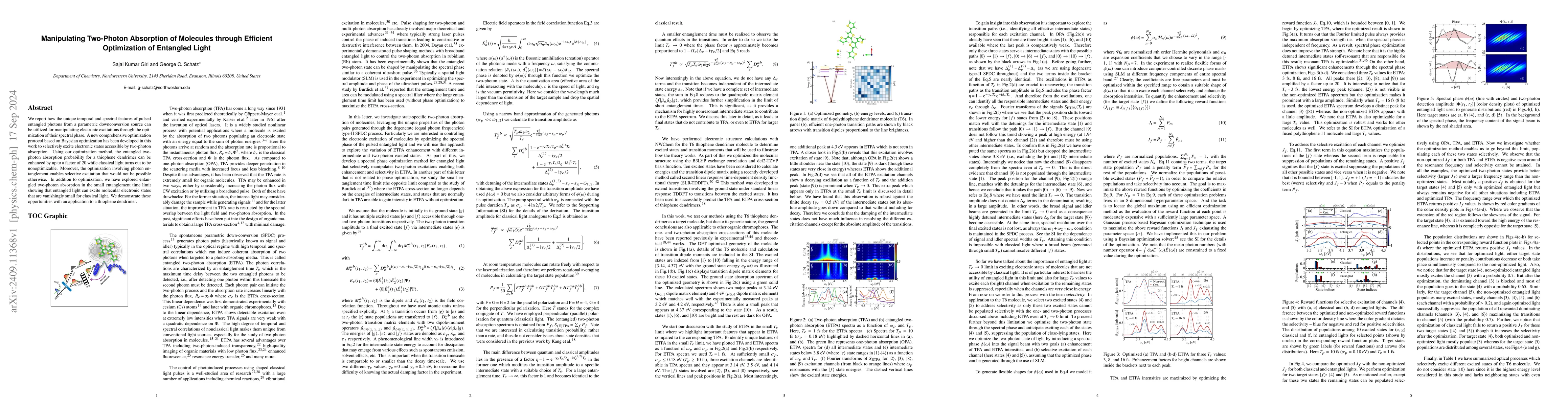 Thumbnail for Manipulating Two-Photon Absorption of Molecules through Efficient
  Optimization of Entangled Light