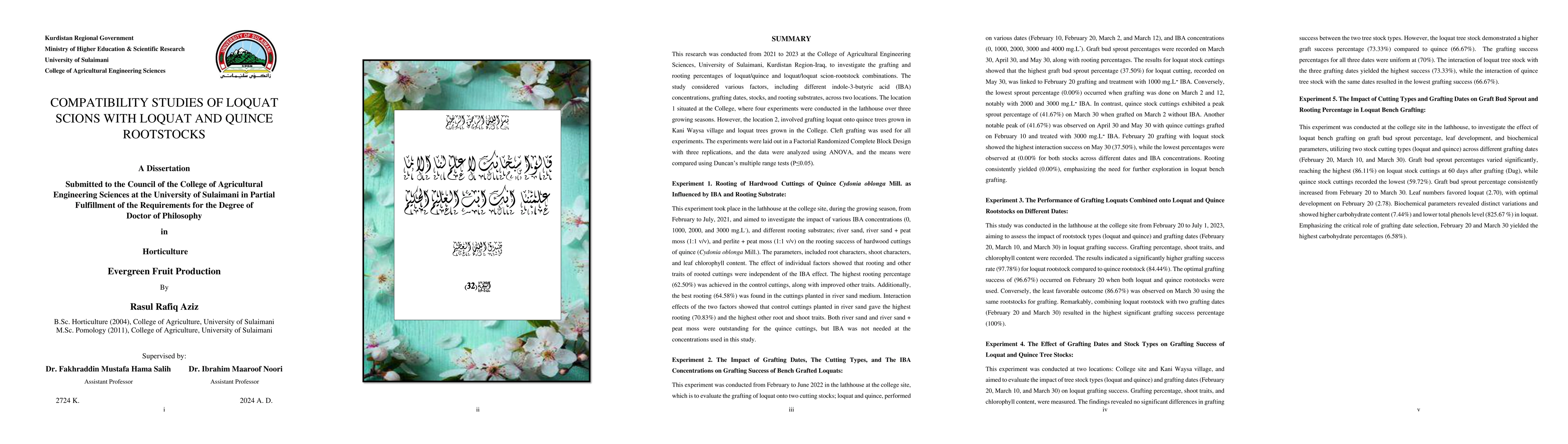 Thumbnail for Compatibility studies of loquat scions with loquat and quince rootstocks