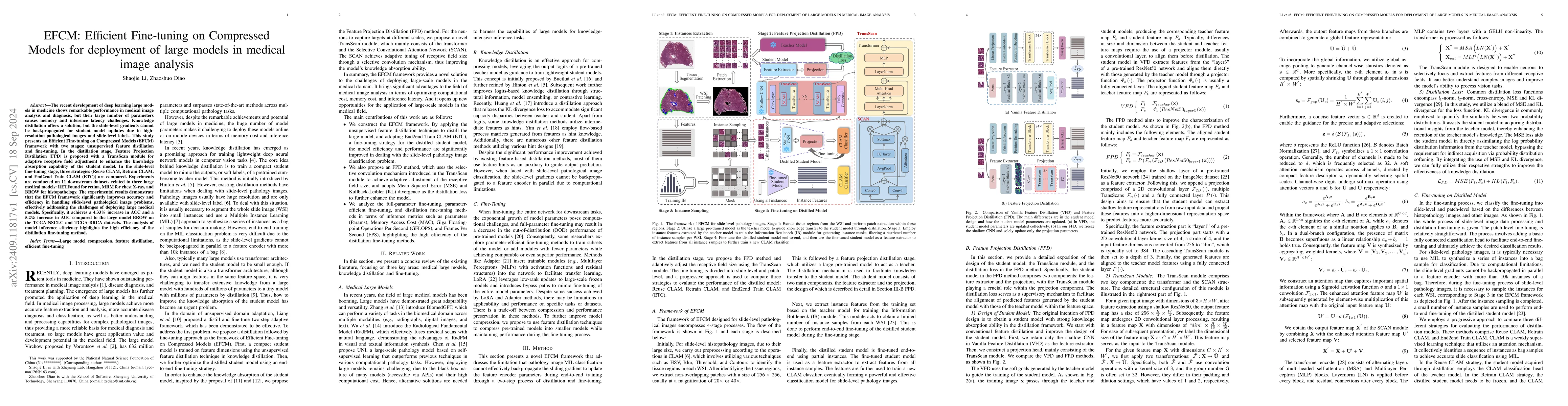 Thumbnail for EFCM: Efficient Fine-tuning on Compressed Models for deployment of large
  models in medical image analysis