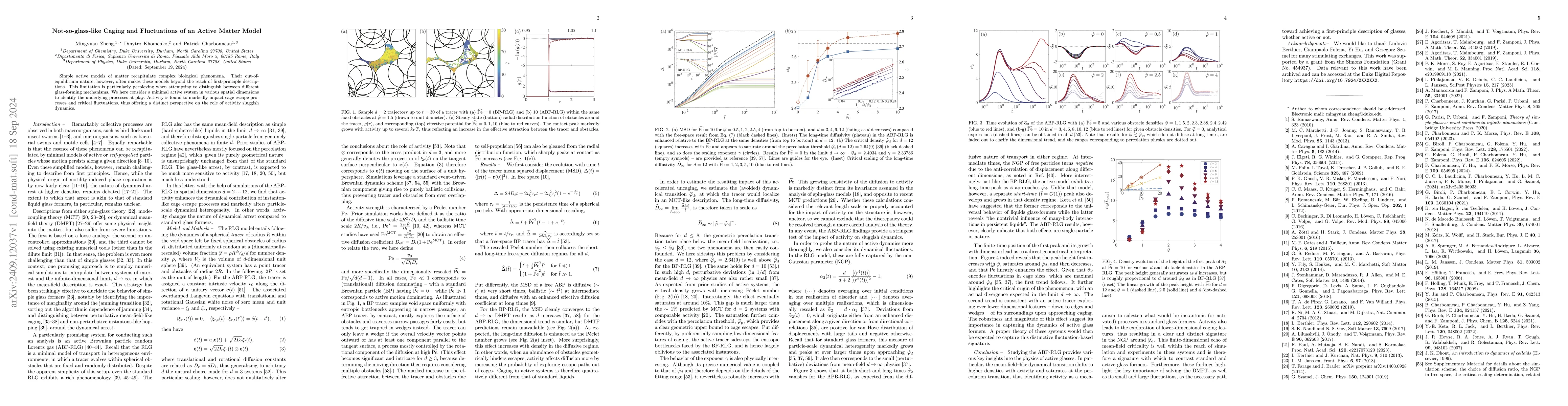 Thumbnail for Not-so-glass-like Caging and Fluctuations of an Active Matter Model
