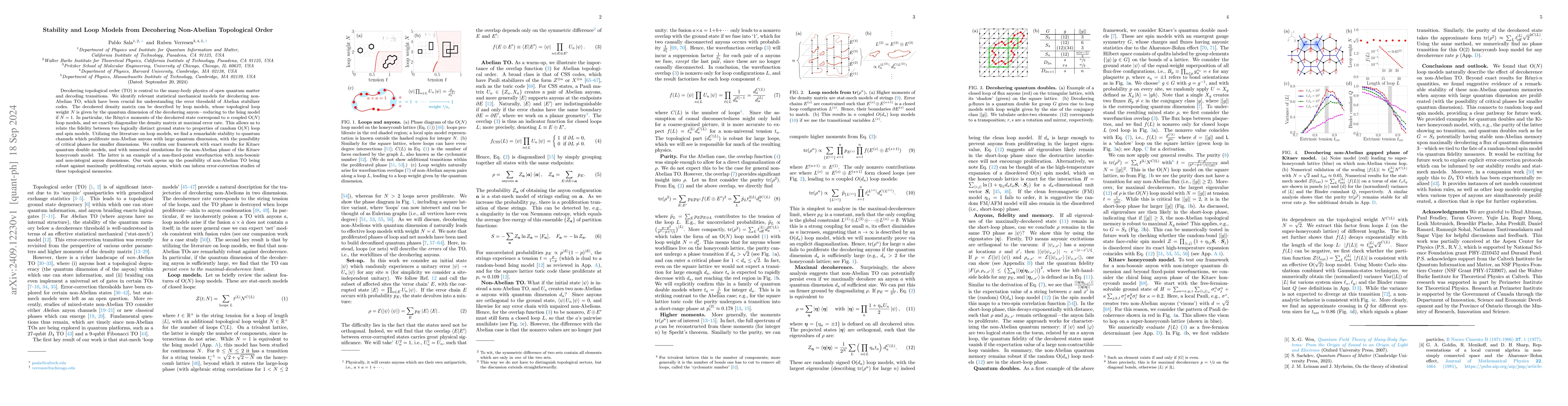 Thumbnail for Stability and Loop Models from Decohering Non-Abelian Topological Order