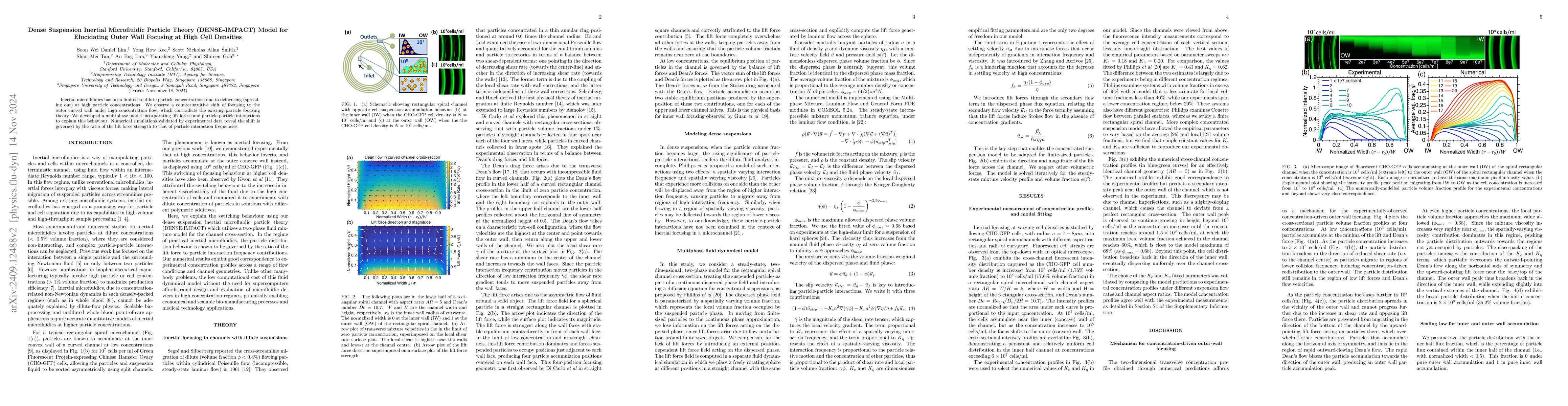 Thumbnail for Dense Suspension Inertial Microfluidic Particle Theory (DENSE-IMPACT)
  Model for Elucidating Outer Wall Focusing at High Cell Densities