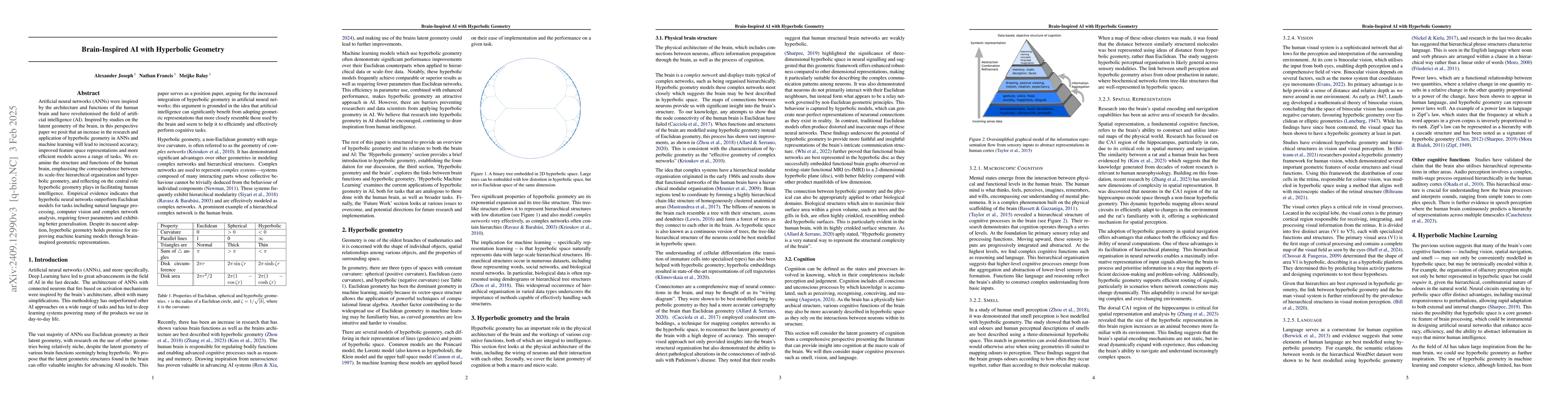 Thumbnail for Hyperbolic Brain Representations