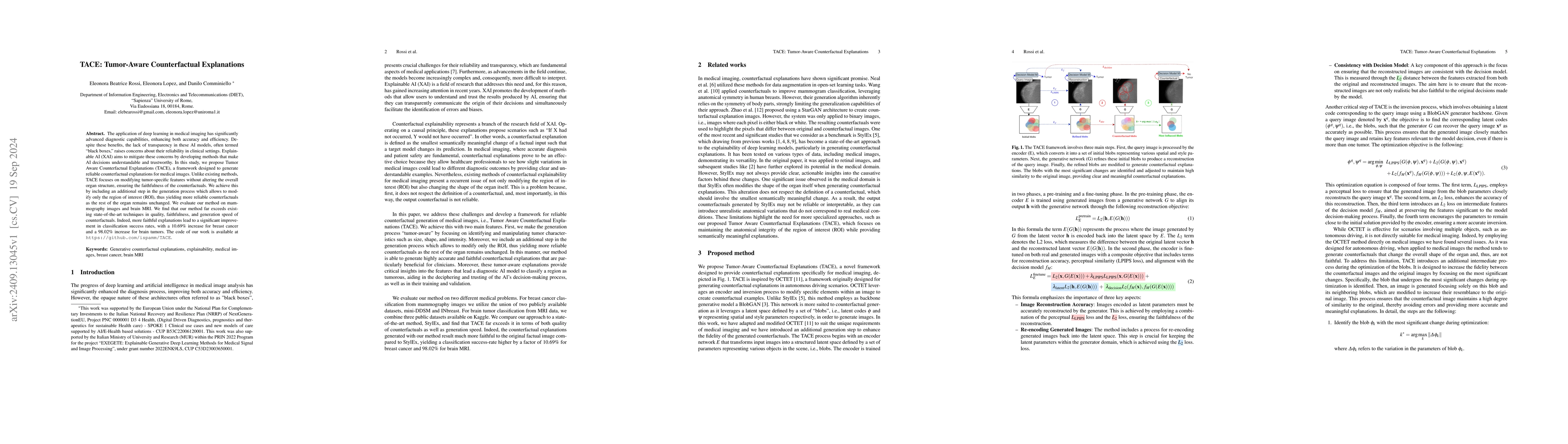Thumbnail for TACE: Tumor-Aware Counterfactual Explanations