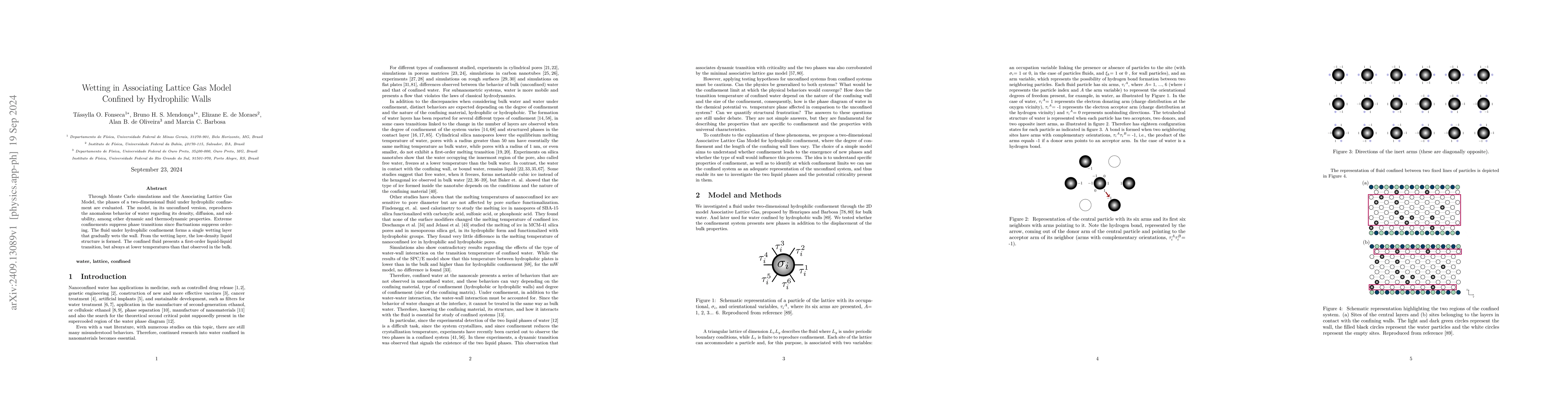 Thumbnail for Wetting in Associating Lattice Gas Model Confined by Hydrophilic Walls