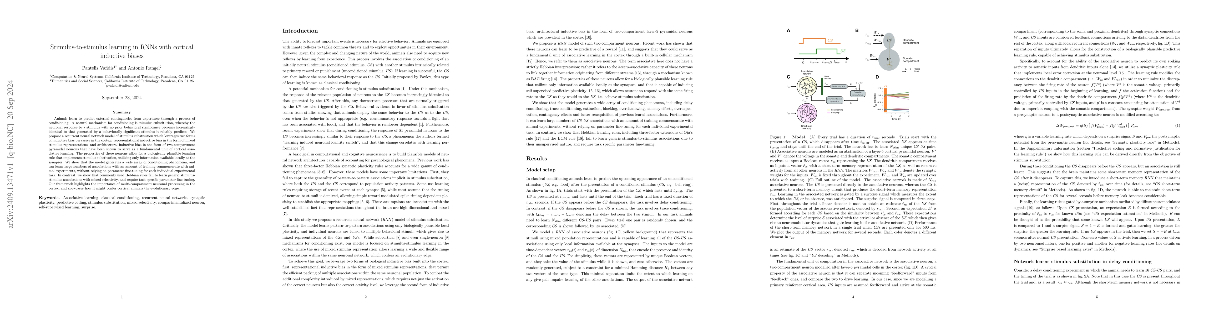 Thumbnail for Stimulus-to-Stimulus Learning in RNNs with Cortical Inductive Biases