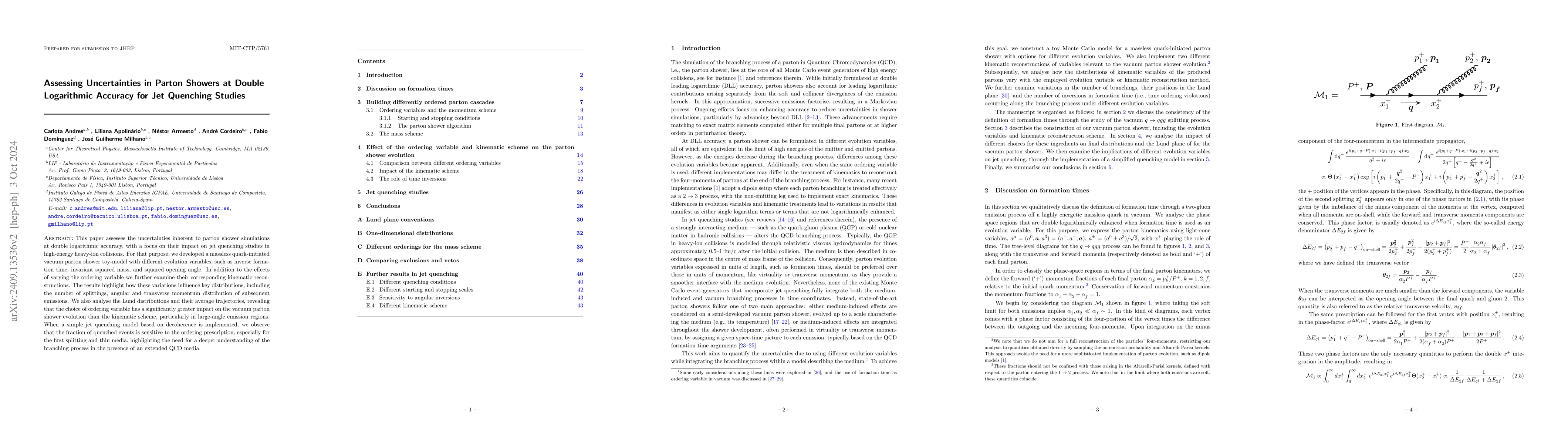 Thumbnail for Assessing Uncertainties in Parton Showers at Double Logarithmic Accuracy
  for Jet Quenching Studies