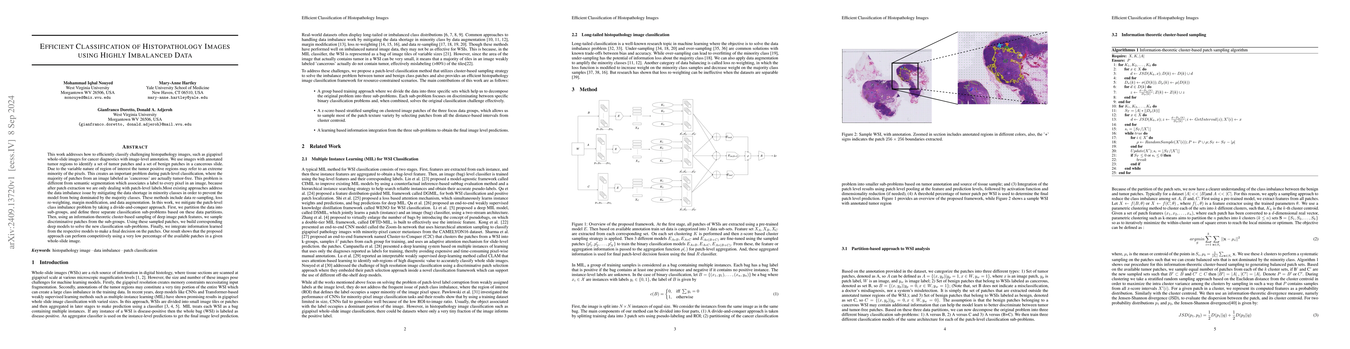 Thumbnail for Efficient Classification of Histopathology Images