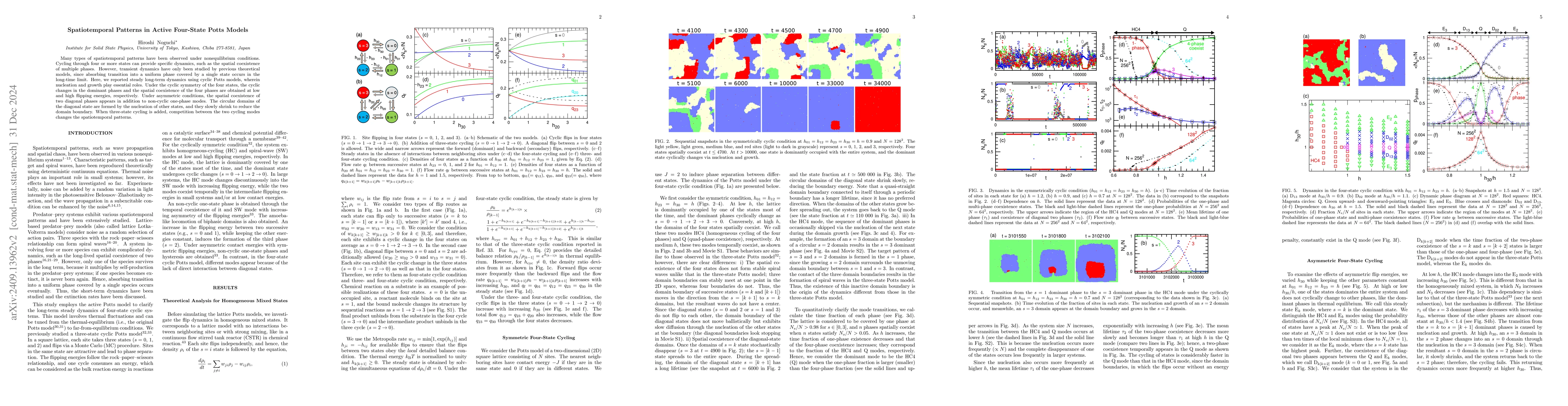 Thumbnail for Spatiotemporal Patterns in Active Four-State Potts Models