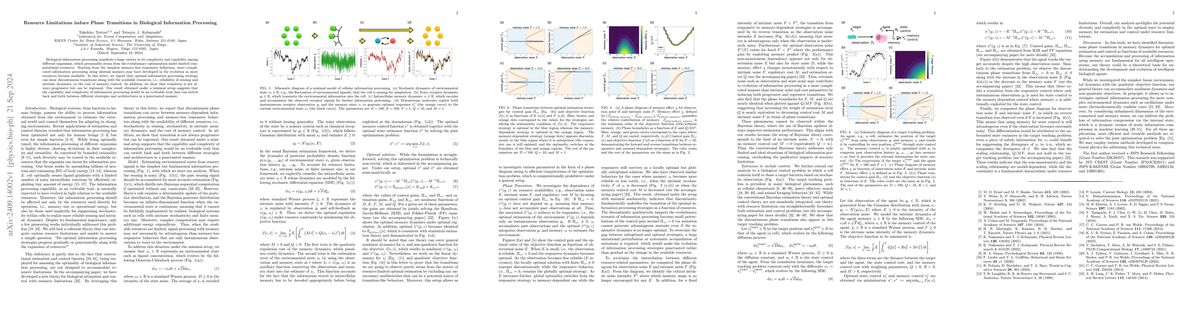 Thumbnail for Resource Limitations induce Phase Transitions in Biological Information
  Processing