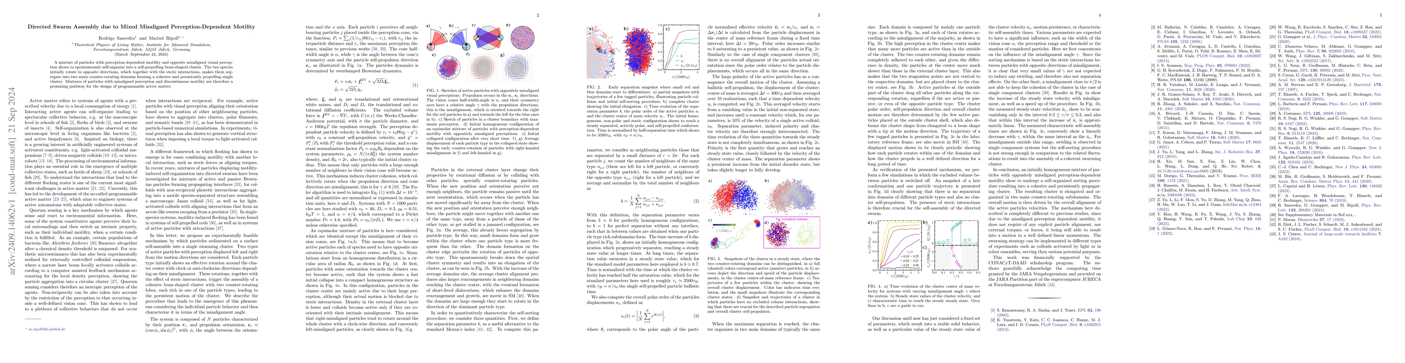 Thumbnail for Directed Swarm Assembly due to Mixed Misaligned Perception-Dependent
  Motility