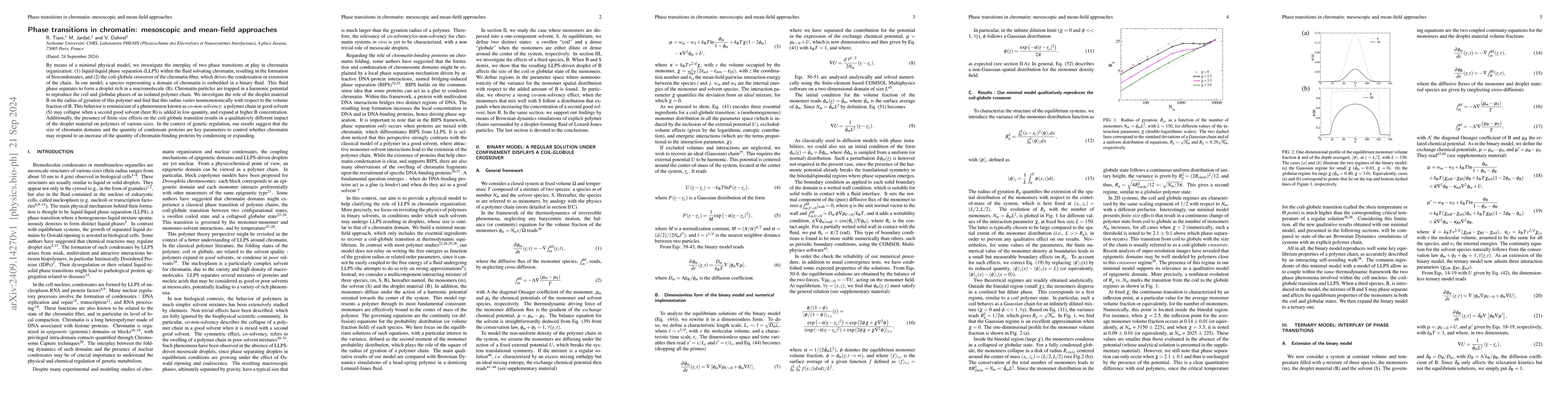 Thumbnail for Phase transitions in chromatin: mesoscopic and mean-field approaches
