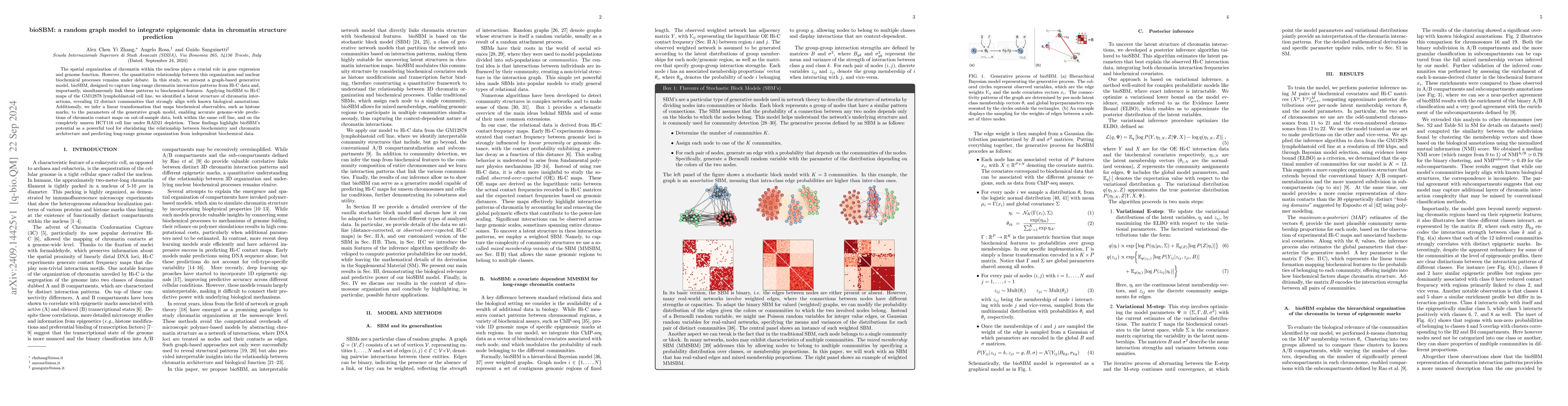 Thumbnail for bioSBM: a random graph model to integrate epigenomic data in chromatin
  structure prediction