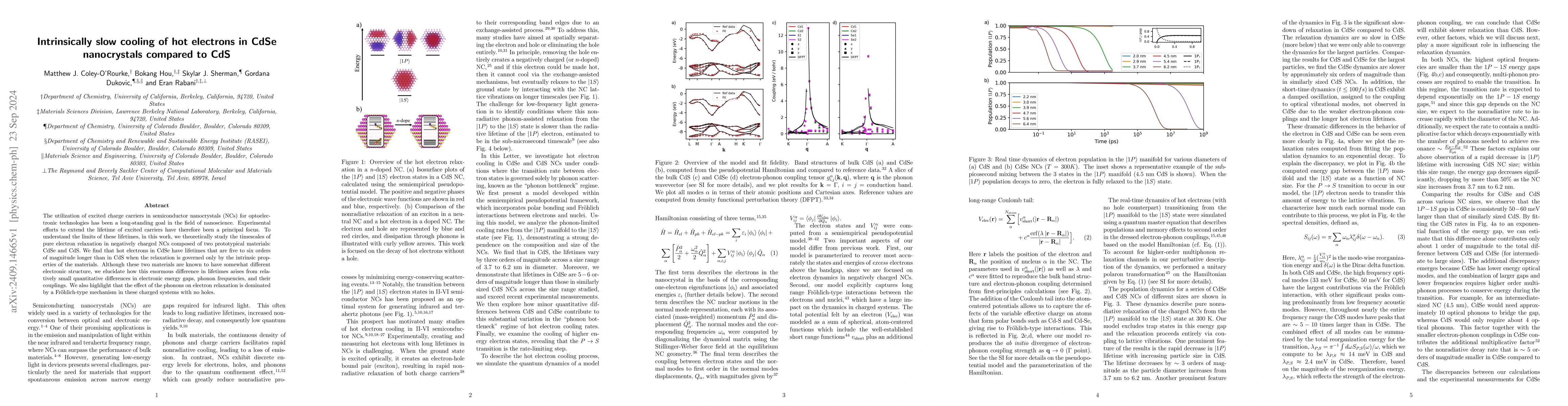 Thumbnail for Intrinsically slow cooling of hot electrons in CdSe nanocrystals
  compared to CdS
