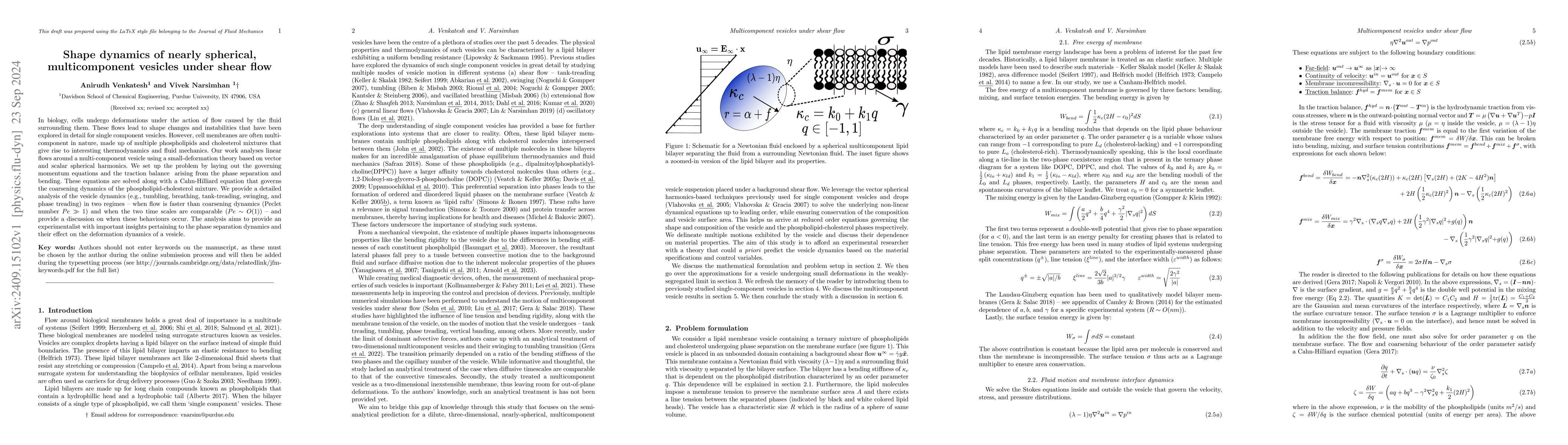 Thumbnail for Shape dynamics of nearly spherical, multicomponent vesicles under shear
  flow