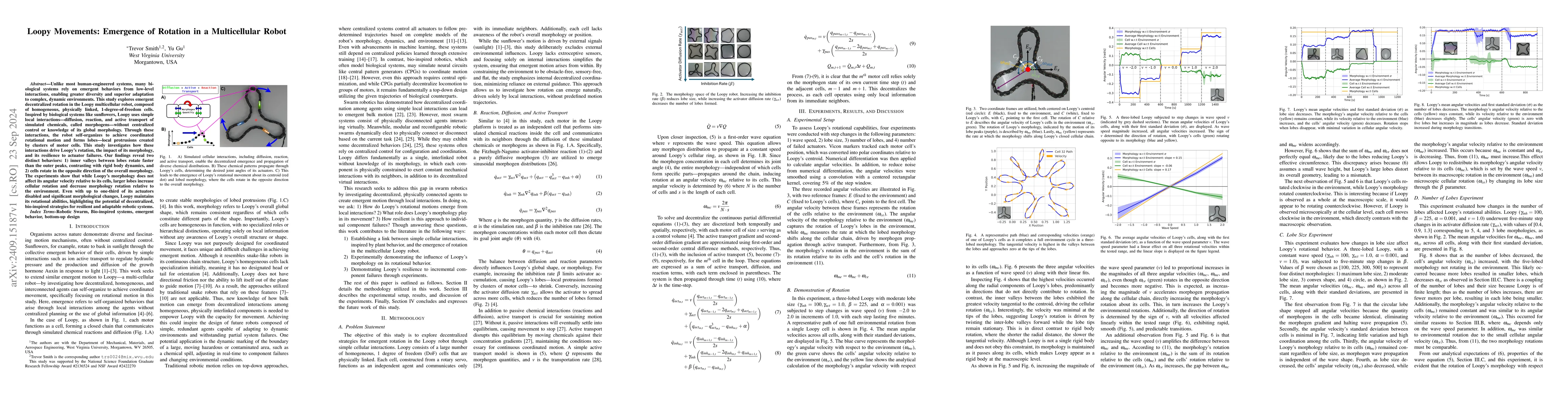 Thumbnail for Loopy Movements: Emergence of Rotation in a Multicellular Robot