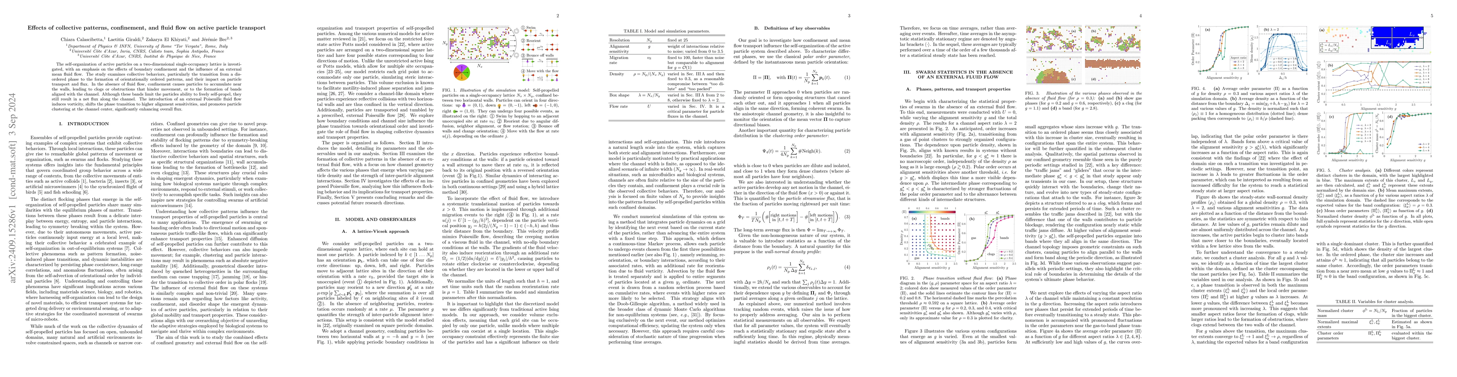 Thumbnail for Effects of collective patterns, confinement, and fluid flow on active
  particle transport