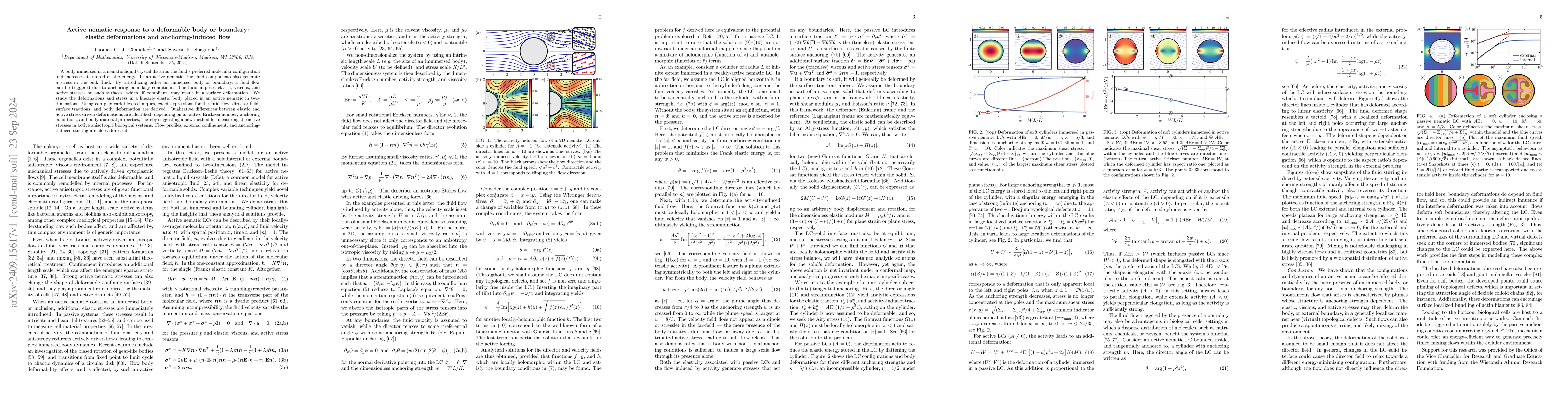 Thumbnail for Active nematic response to a deformable body or boundary: elastic
  deformations and anchoring-induced flow